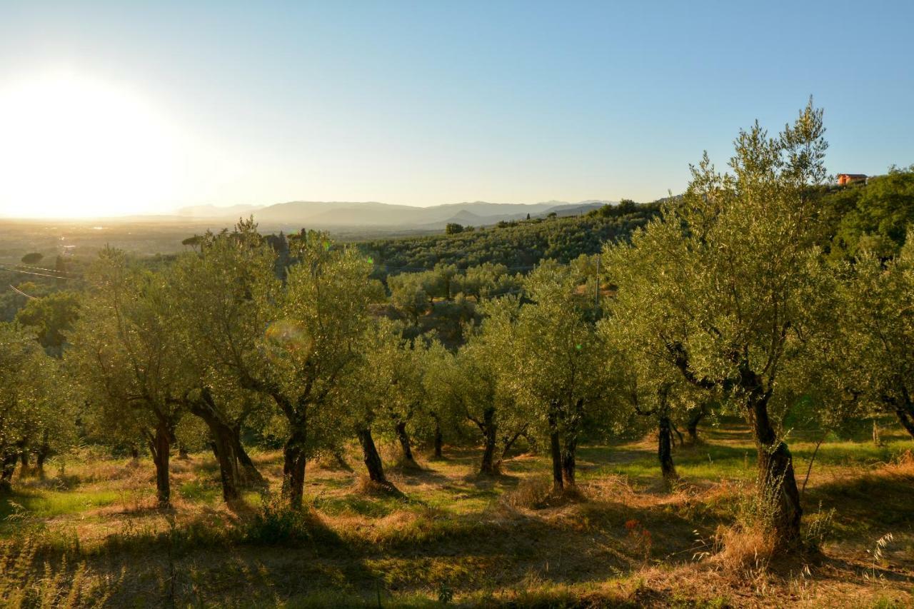 Agriturismo Podere Rondinaio Lamporecchio Extérieur photo